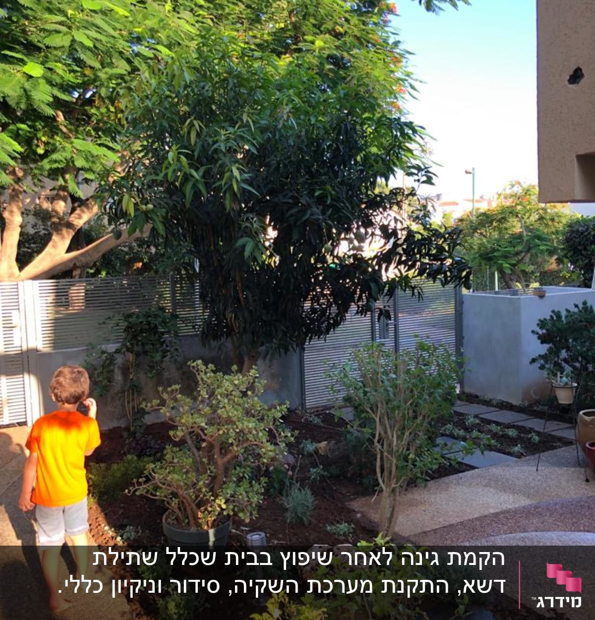 גינה עם עצים ושיחים, ילד צועד בשביל